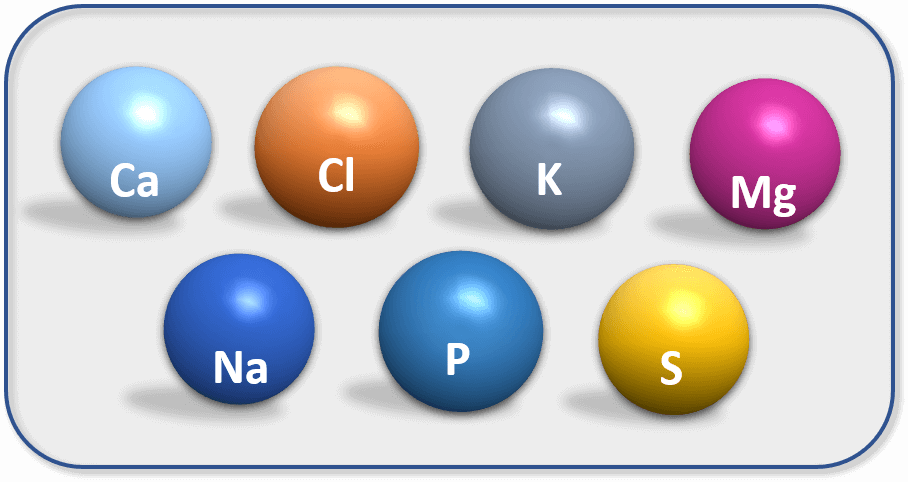 Major Minerals