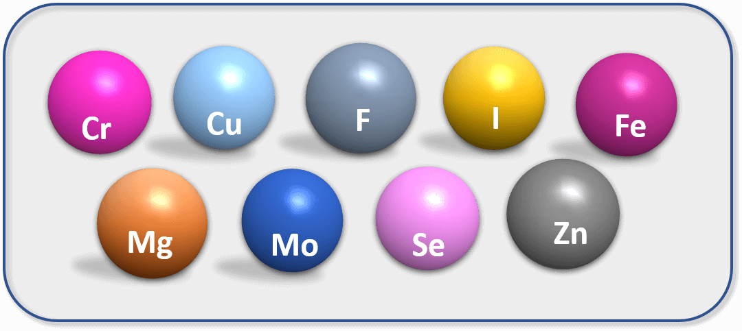 Trace Minerals