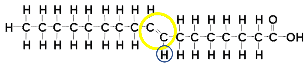 Trans fatty acids