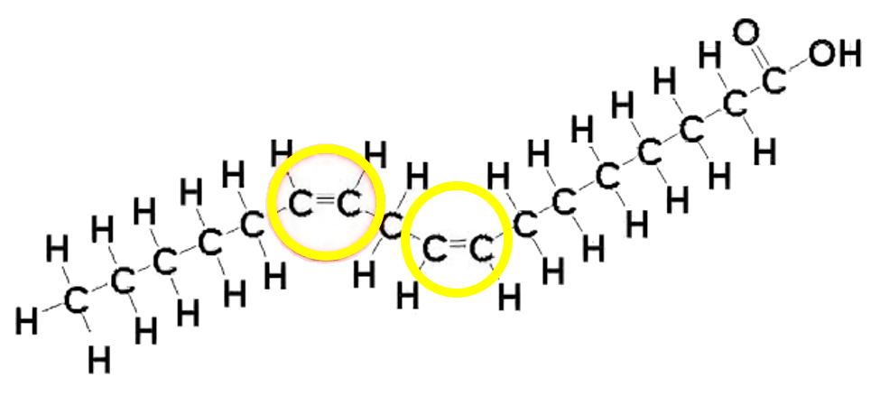 Unsaturated fatty acids